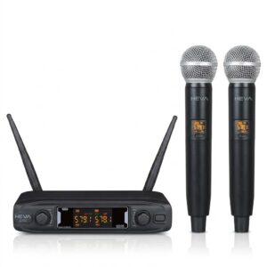 Sistema de dos micrófonos inalámbrico C-102